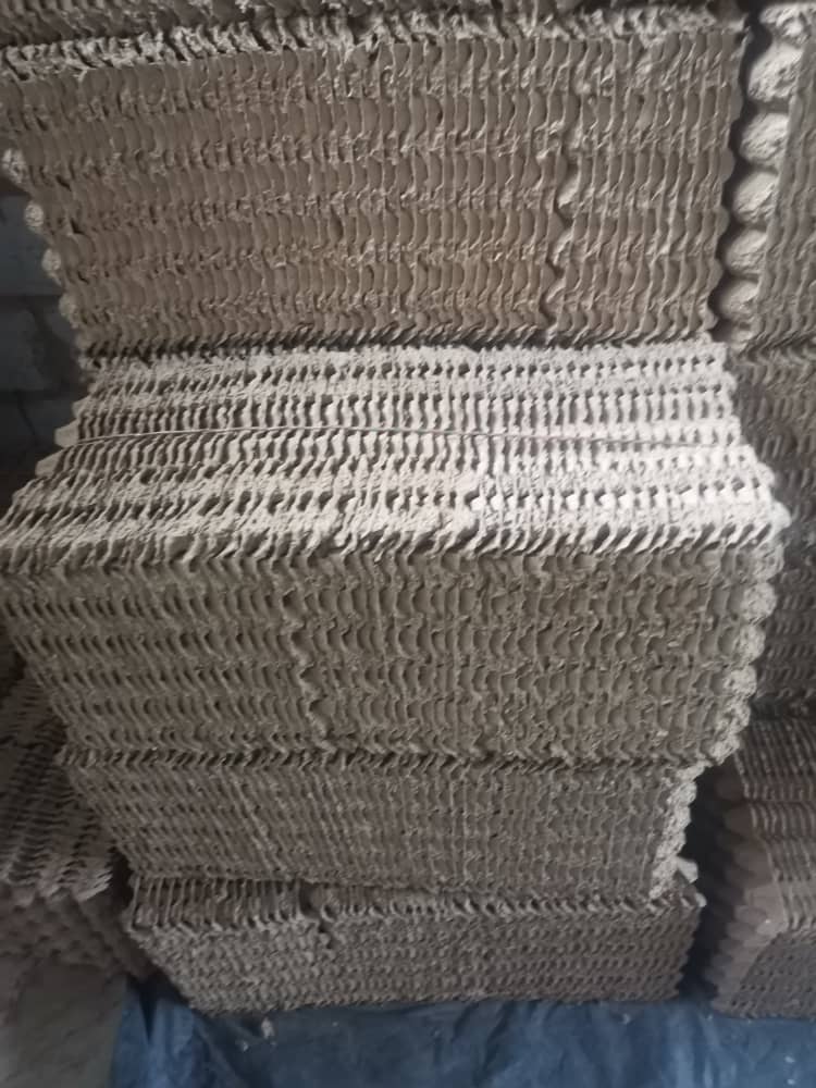 Bandejas de huevos duraderas y ecológicas diseñadas para proteger cada huevo fácilmente—apilables, ligeras y perfectas para un almacenamiento y transporte seguro. from Zambia